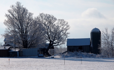 [On the left are two leafless trees outlined against the sky and towering over a house and adjacent building. A barn with a silo are on the right. A snow covered field sits in the foreground.]